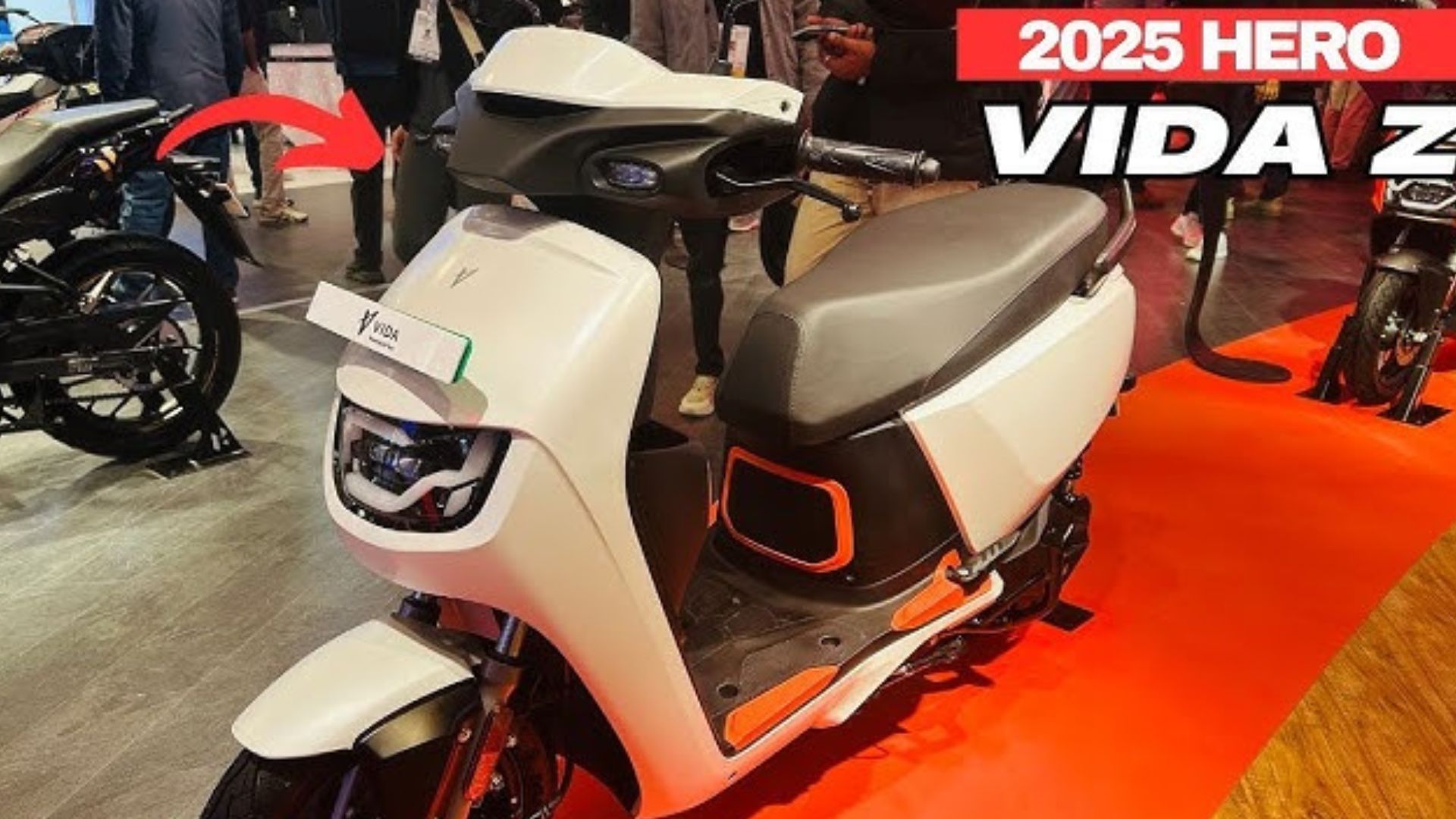 Vida Z